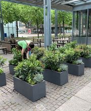 Baum & Raum Daniela Hinkelmann Bild 3