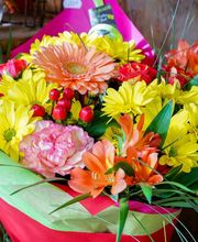 Brin De Nature image 10