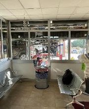 Euromaster Gigli immagine 2