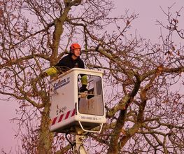 ARB'OUEST image 12