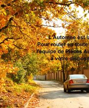 Pièces Auto 16 image 1