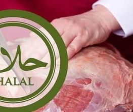 Umut fleisch GmbH Bild 4