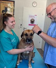 Tierarztpraxis Ergolz Bild 3