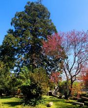 COSY ER LANN image 8