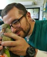 Haw Creek Animal Hospital image 1