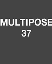 Multipose 37 SARL image 13