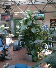 ralf AMON - aktiv und gesund Bild 8