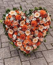 Gärtnerei & Floristik Urs Keller Bild 12