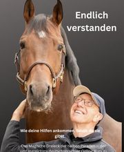 KUTTING.NET Online Bild 3