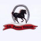 Les Poneys Vençois