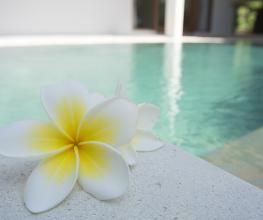 Leelawadee - Traditionnel Thai Massage Bild 2