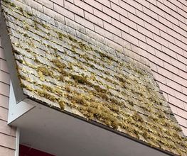 Gebäudereinigung RUPPANNER Hauswartungen KECKEX.swiss Bild 5