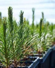 Volktrans GmbH Bild 1