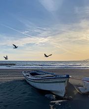 Olivo Homes imagen 7