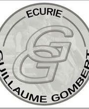 Ecuries Gombert Guillaume image 12