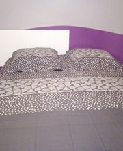 Ciboire Patrick image 6