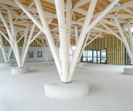 Verdot Ets image 4