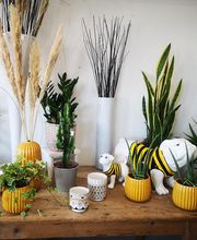 L'INSTANT FLEURI image 1