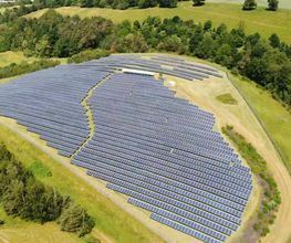 Solarparkpflege