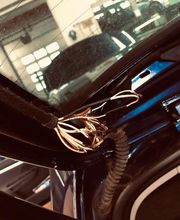 Auto-Elektrik Höyns Bild 12