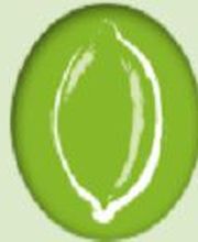 Citron & Co. image 2