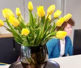 inlingua Sprachschule Stuttgart Bild 2