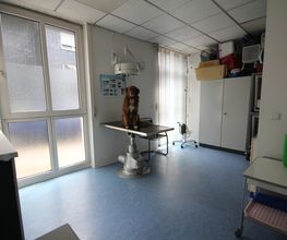 Kleintierpraxis Eckhard Bürgener Tierarzt Bild 3