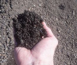 AgrEcoPaillage image 9
