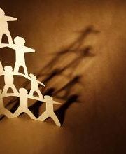 Commex-Group imagen 8