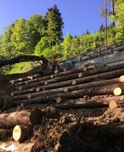 Gebrüder Straumann AG Bild 13