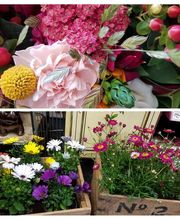 Secret de Roses image 2