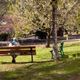 EHPAD Le Bosc