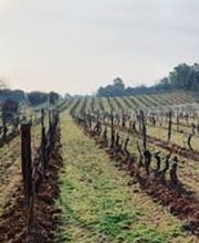 Château Revelette image 1