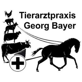 Tierarztpraxis Georg Bayer