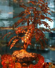 OSTSEE-SCHMUCK GmbH Bild 9