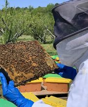 Ncvabeenucs.com image 2