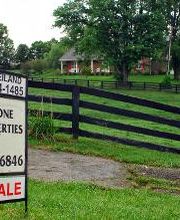 Limestone Properties, Inc. image 5