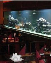 Asia 5 Sterne Düsseldorf Bild 4