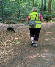 RolfsRudel Hundeschule / Rolf Matar Bild 3