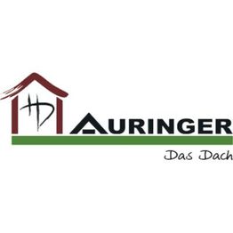 Auringer - Das Dach