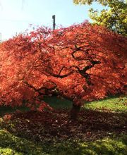 L'Eco des Jardins Bild 1