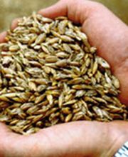 Mühle Bachmann AG Bild 9