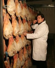 Ernest Oberti Et Fils ETS image 6