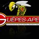 GUÊPES-APENS 81 - Radikal Nuisibles