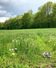 Vayu-Institut Yoga & Waldbaden Bild 8