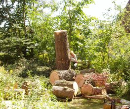 Trinkgeld GmbH Garten- & Landschaftsservice Bild 21
