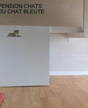 Pension Du Chat Bleuté image 2