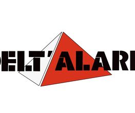 Delt'Alarm image 2