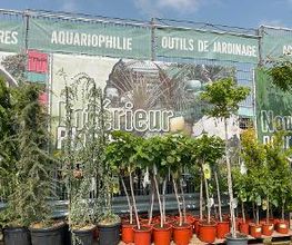 Jardinerie HORNBACH Riddes Bild 3