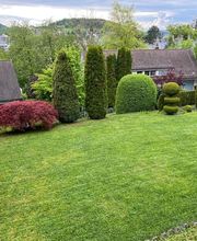 HGU Hauswartungen Bild 10